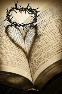 thorn heart bible