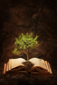 tree-of-knowledge